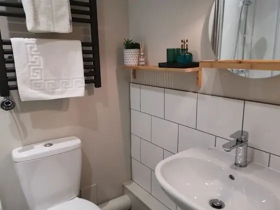Deluxe Tek Büyük Yataklı Oda, Banyolu/Duşlu (Room 3 )