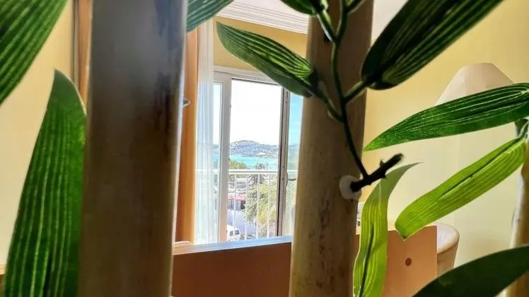Deluxe Aile Suiti, Deniz Manzaralı, Fransız Balkonlu