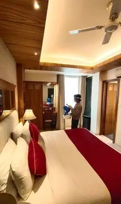 Deluxe Oda, 1 En Büyük (King) Boy Yatak, Şehir Manzaralı