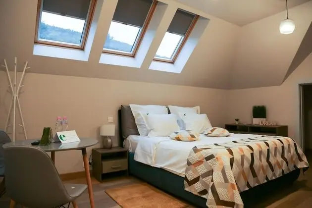 Studio - Mansard