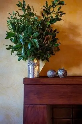 Deluxe Tek Büyük Yataklı Oda (Imperiale)