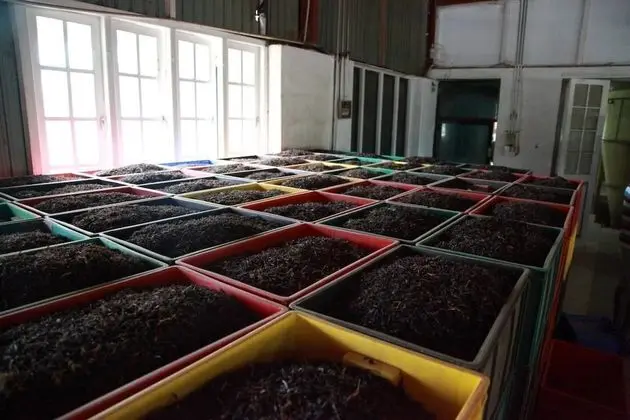 Ev, Birden Çok Yatak