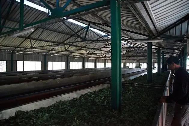 Ev, Birden Çok Yatak