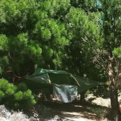 Family Çadır