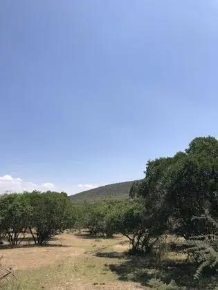 Executive Üç Kişilik Oda