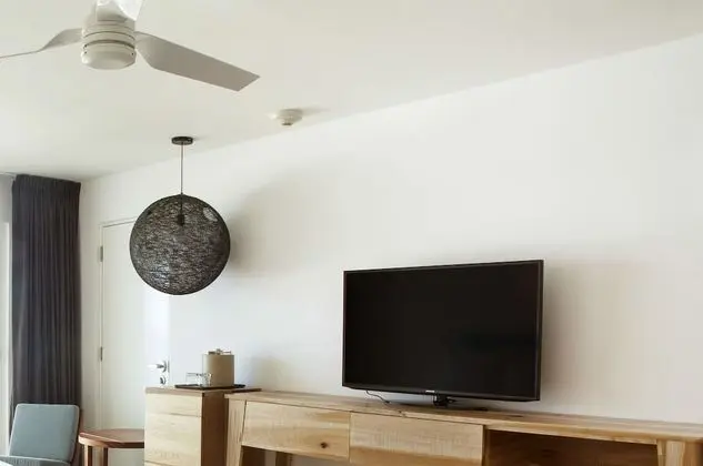 Televizyon