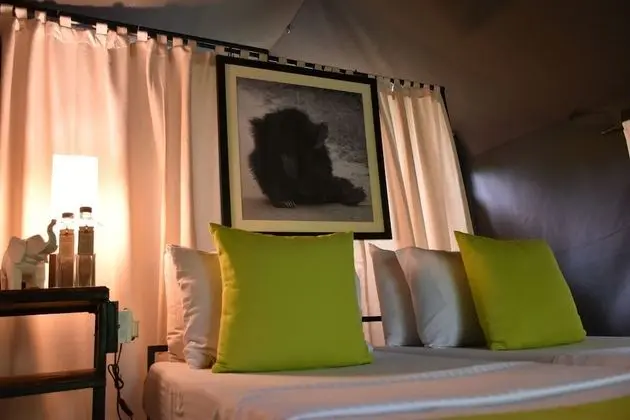 Tent on All Inclusive