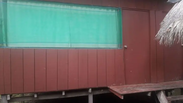 Basic Single Room, Non-Smoking