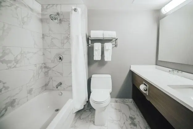 Deluxe Oda, 1 En Büyük (King) Boy Yatak