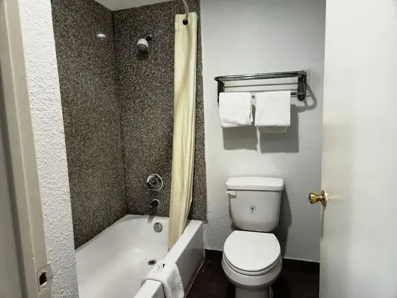 Deluxe Tek Kişilik Oda, 1 En Büyük (King) Boy Yatak, Sigara İçilmez