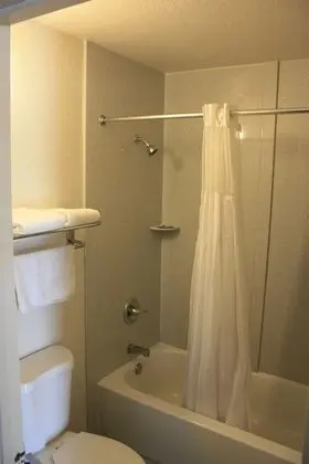 Standard Tek Büyük Yataklı Oda, 2 Çift Kişilik Yatak