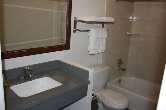 Standard Tek Büyük Yataklı Oda, 2 Çift Kişilik Yatak