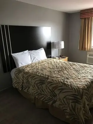 Standard Tek Kişilik Oda, 1 En Büyük (King) Boy Yatak