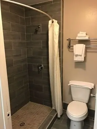 Standard Tek Kişilik Oda, 1 En Büyük (King) Boy Yatak