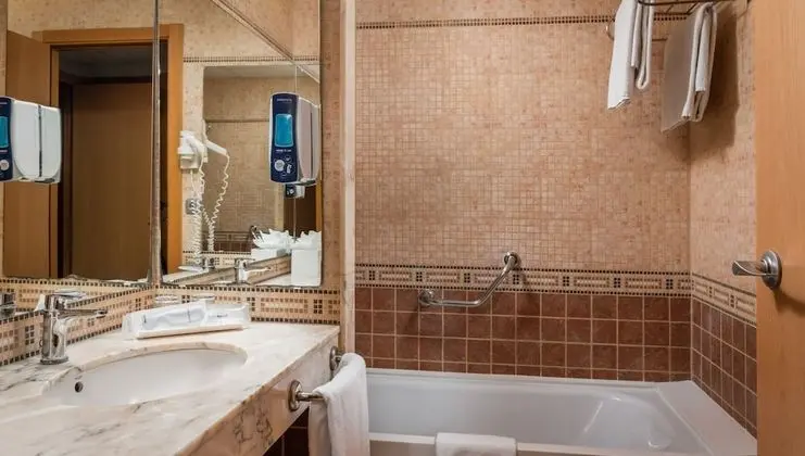 Tek Büyük Yataklı Oda (2 adults)