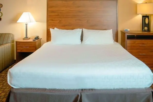 Standard Oda, 1 En Büyük (King) Boy Yatak ve Çekyat, Sigara İçilmez (Jacuzzi)
