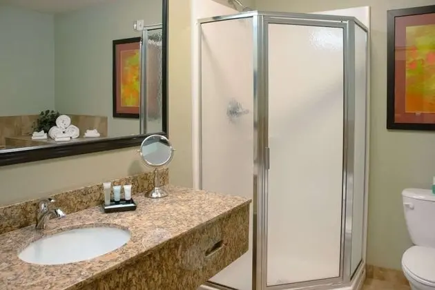 Standard Oda, 1 En Büyük (King) Boy Yatak ve Çekyat, Sigara İçilmez (Jacuzzi)