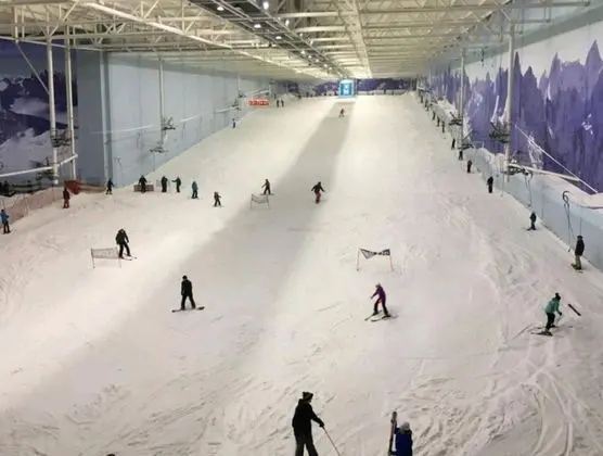 Apart Daire, Birden Çok Yatak