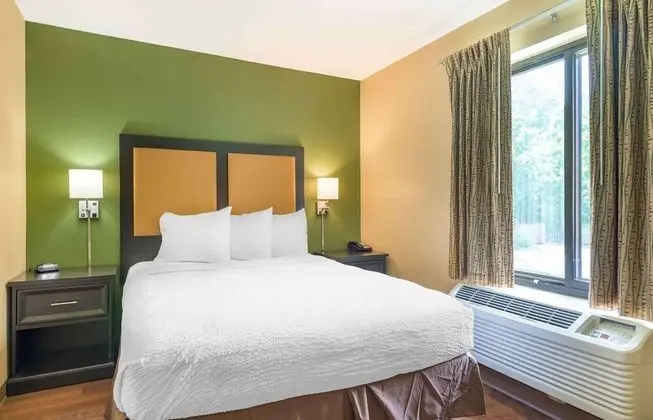 Deluxe Stüdyo, 1 Büyük (Queen) Boy Yatak ve Çekyat, Sigara İçilmez