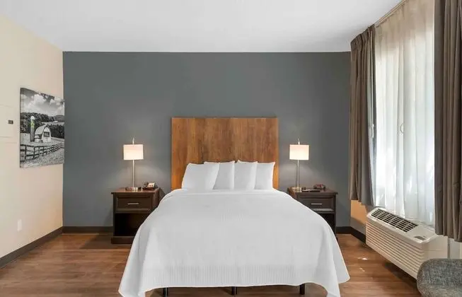 Deluxe Stüdyo, 1 Büyük (Queen) Boy Yatak ve Çekyat, Sigara İçilmez