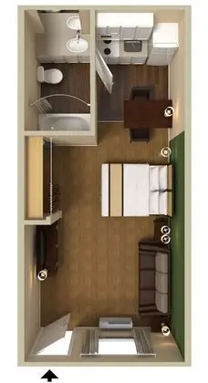Deluxe Stüdyo, 1 En Büyük (King) Boy Yatak ve Çekyat, Sigara İçilmez