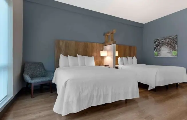 Premium Stüdyo, Sigara İçilmez, Buzdolabı ve Mikrodalga