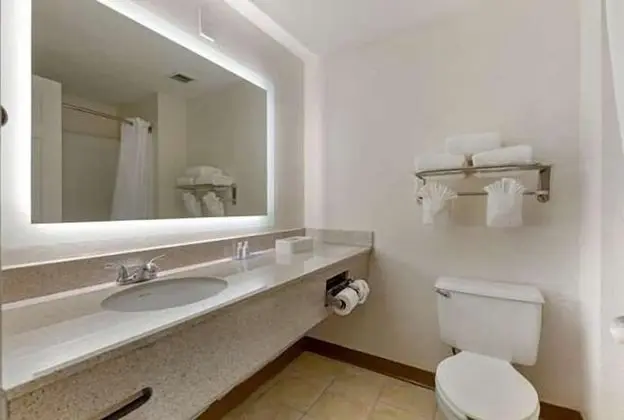 Oda, 1 Büyük (Queen) Boy Yatak, Engellilere Uygun, Sigara İçilmez (Roll-In Shower)