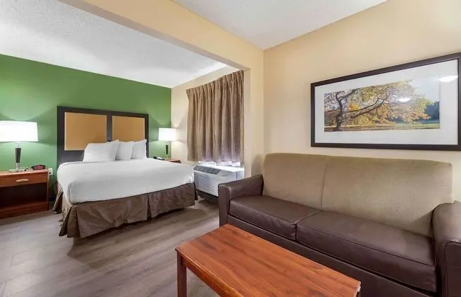Deluxe Stüdyo, 1 Büyük (Queen) Boy Yatak ve Çekyat, Sigara İçilmez