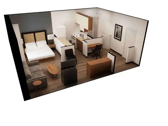 Deluxe Stüdyo, 1 Büyük (Queen) Boy Yatak ve Çekyat, Sigara İçilmez
