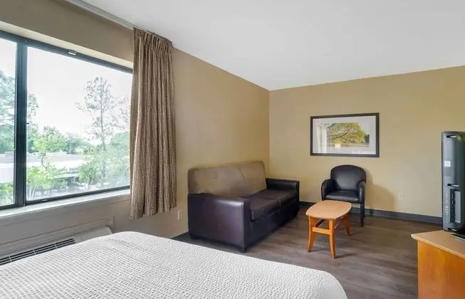 Deluxe Stüdyo, Birden Çok Yatak, Sigara İçilmez