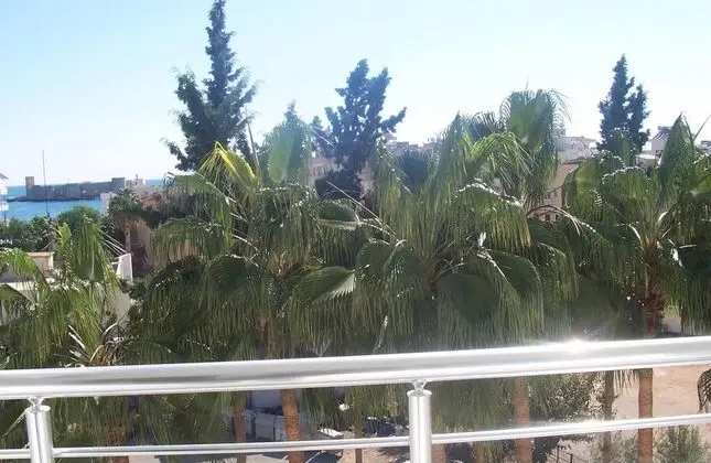 Deluxe Havuz Oda,havuz Manzaralı
