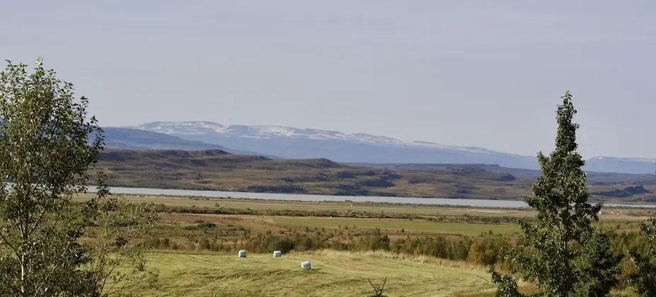 Basic Tek Büyük veya İki Ayrı Yataklı Oda, Özel Banyo
