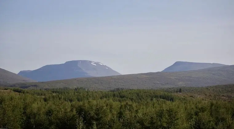 Basic Tek Büyük veya İki Ayrı Yataklı Oda, Özel Banyo