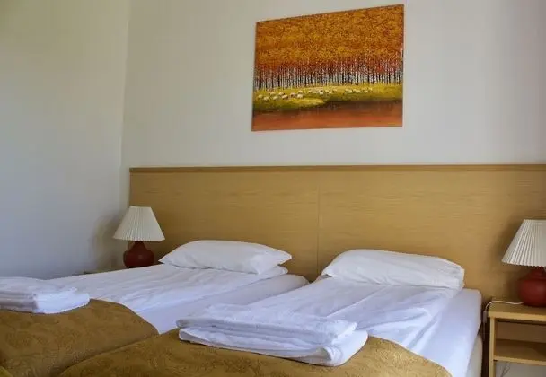 Standard Tek Büyük veya İki Ayrı Yataklı Oda, Özel Banyo, Ek Bina