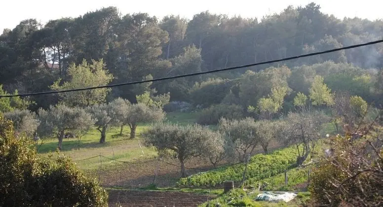 Apart Daire (Ezgety - 330m from the beach - A1(6))