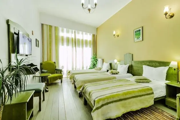 Comfort İki Ayrı Yataklı Oda, Dağ Manzaralı