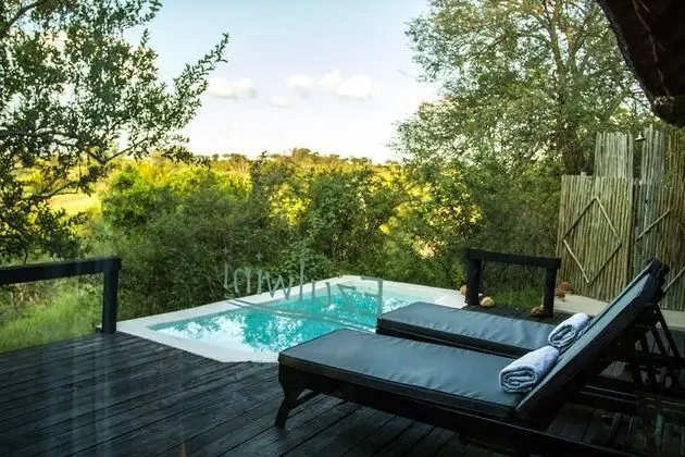 Luxury Suite, Billy's Lodge
