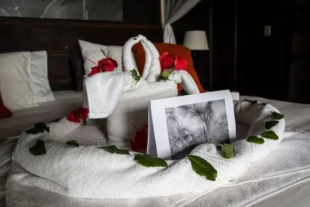 Luxury Suite, Billy's Lodge