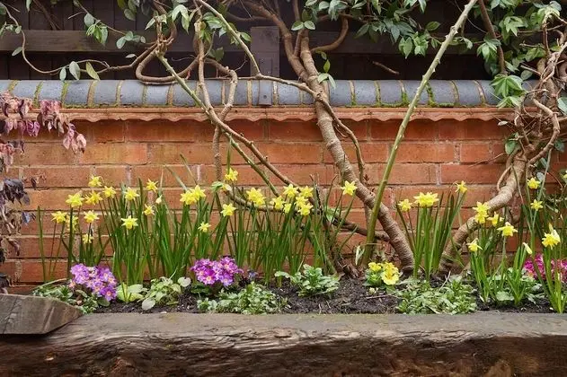 Kır Evi, Birden Çok Yatak