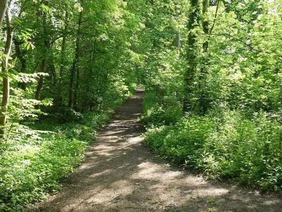 Kır Evi, Birden Çok Yatak