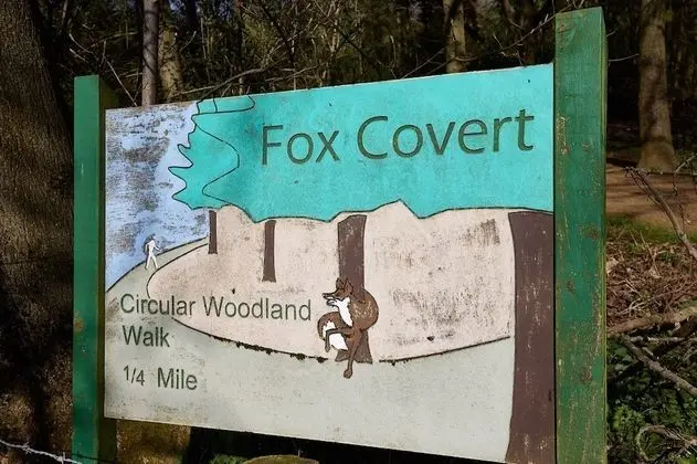 Kır Evi, Birden Çok Yatak