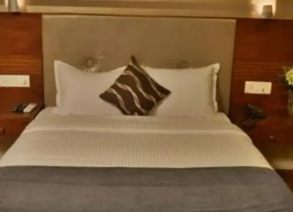 Deluxe Oda, 1 Çift Kişilik Yatak