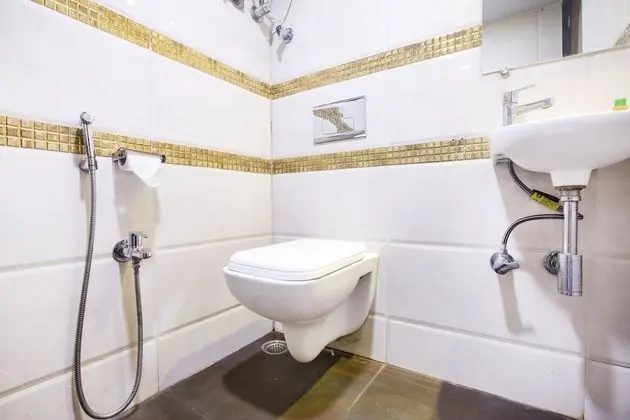 Deluxe Oda, 1 Çift Kişilik Yatak, Sigara İçilmez