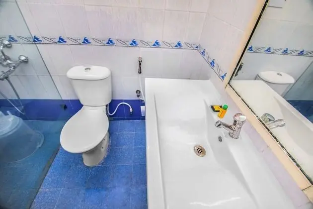 Deluxe Tek Büyük Yataklı Oda, 1 Büyük (Queen) Boy Yatak, Engellilere Uygun