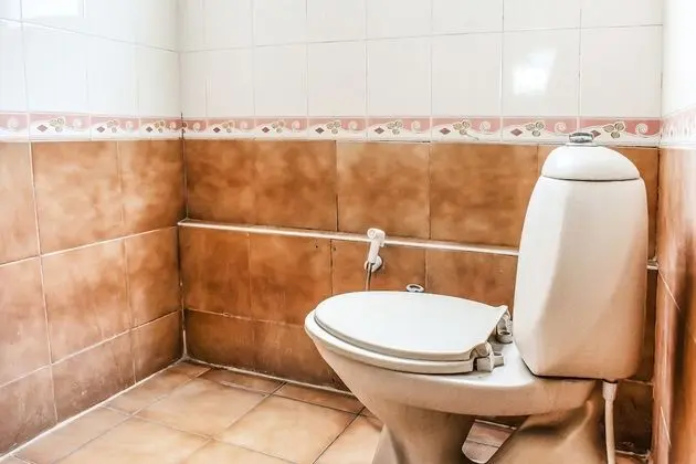 Premium Oda, 1 En Büyük (King) Boy Yatak, Sigara İçilmez