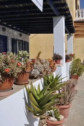 Stüdyo, Birden Çok Yatak, Sigara İçilmez