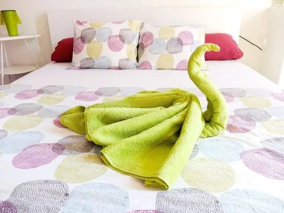 Tek Büyük Yataklı Oda (with Private Bathroom)