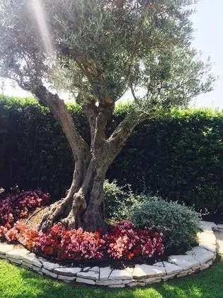 Villa, 3 Yatak Odası, Balkon