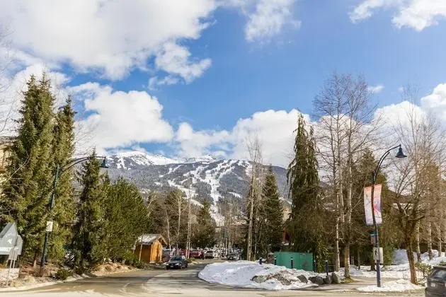 Sıra Ev, Birden Çok Yatak (FABULOUS LOCATION Private Hot Tub, NO)
