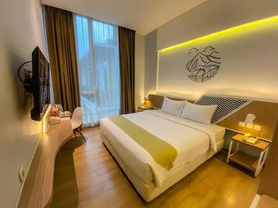 Deluxe Tek Büyük Yataklı Oda, Park Manzaralı